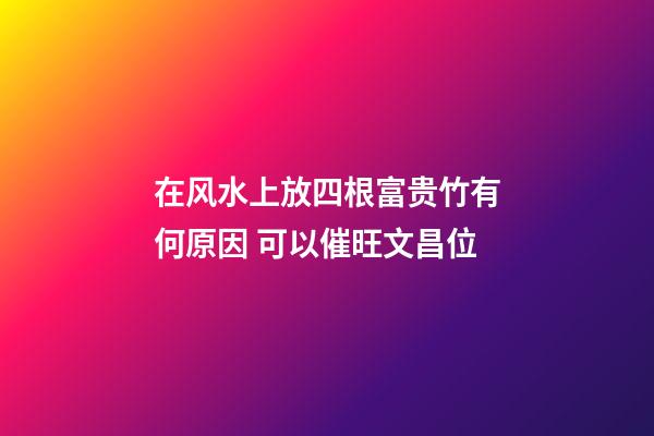 在风水上放四根富贵竹有何原因 可以催旺文昌位
